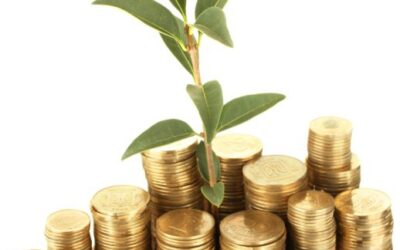 How Donor Agencies are Empowering Pakistan’s Growth and Development
