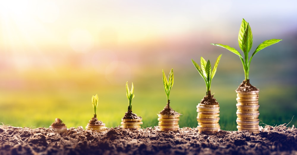 Best tax consultancy firm in Gilgit
