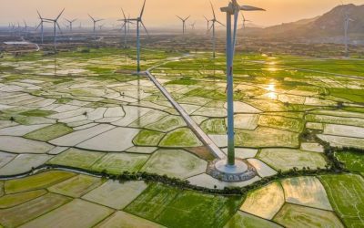 Incentives and Potential: Pakistan’s Renewable Energy Market