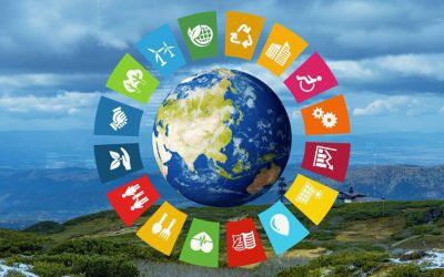 SDGs in Pakistan: Business Roadmap for Sustainability