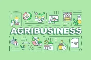 Agribusiness in Pakistan: Financial Strategies for Sustainable Growth
