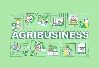 Illustration of Pakistani farmers and agri-entrepreneurs using digital financial tools to boost sustainable agriculture